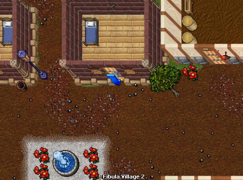 house image